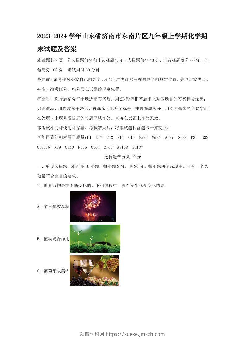 2023-2024学年山东省济南市东南片区九年级上学期化学期末试题及答案(Word版)-领航学科网