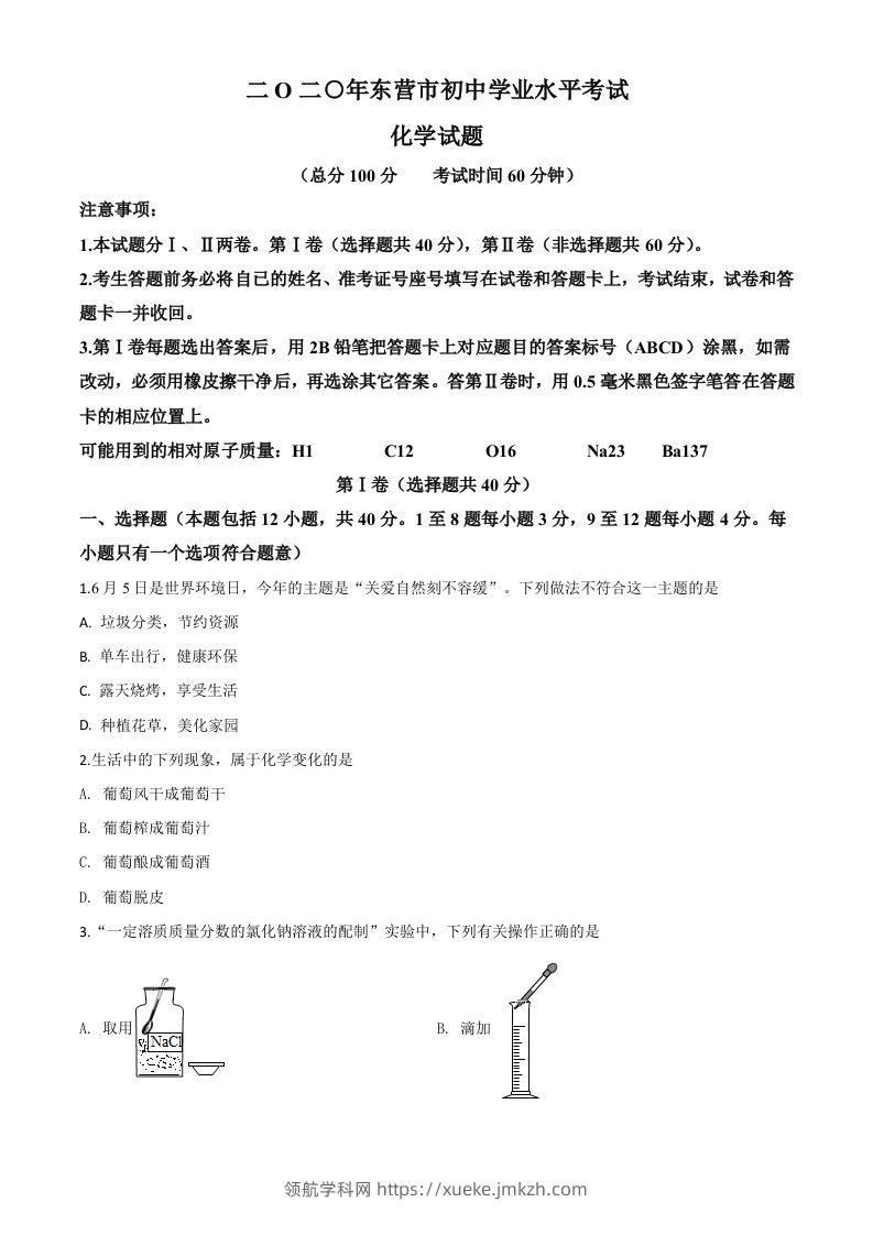 山东省东营市2020年中考化学试题（空白卷）-领航学科网