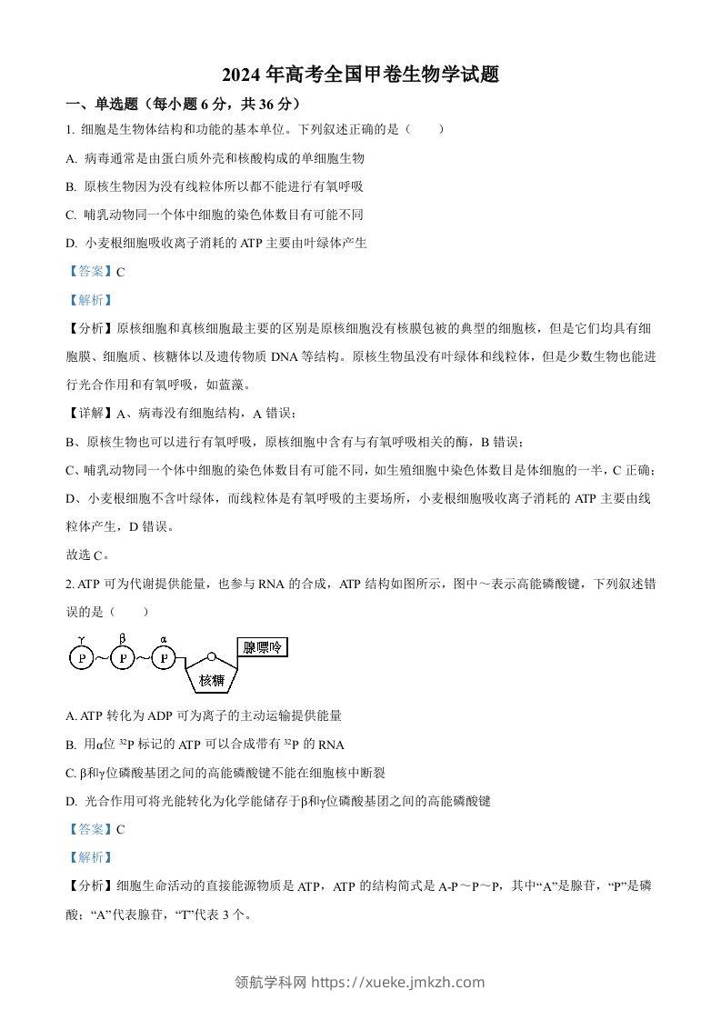 2024年高考生物试卷（全国甲卷）（含答案）-领航学科网