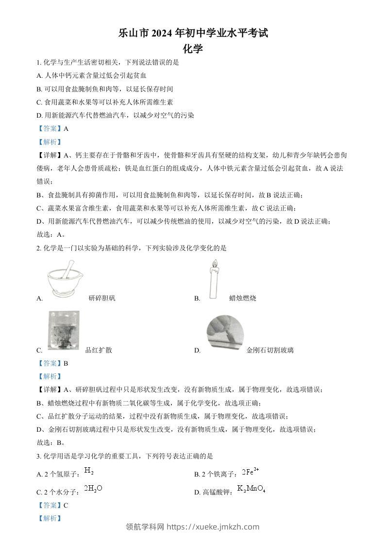2024年四川省乐山市中考化学真题（含答案）-领航学科网
