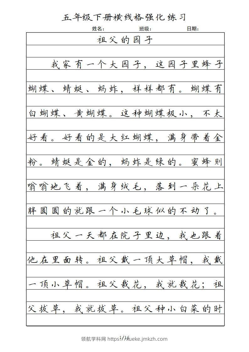 五年级语文下册横线格（部编版）-领航学科网