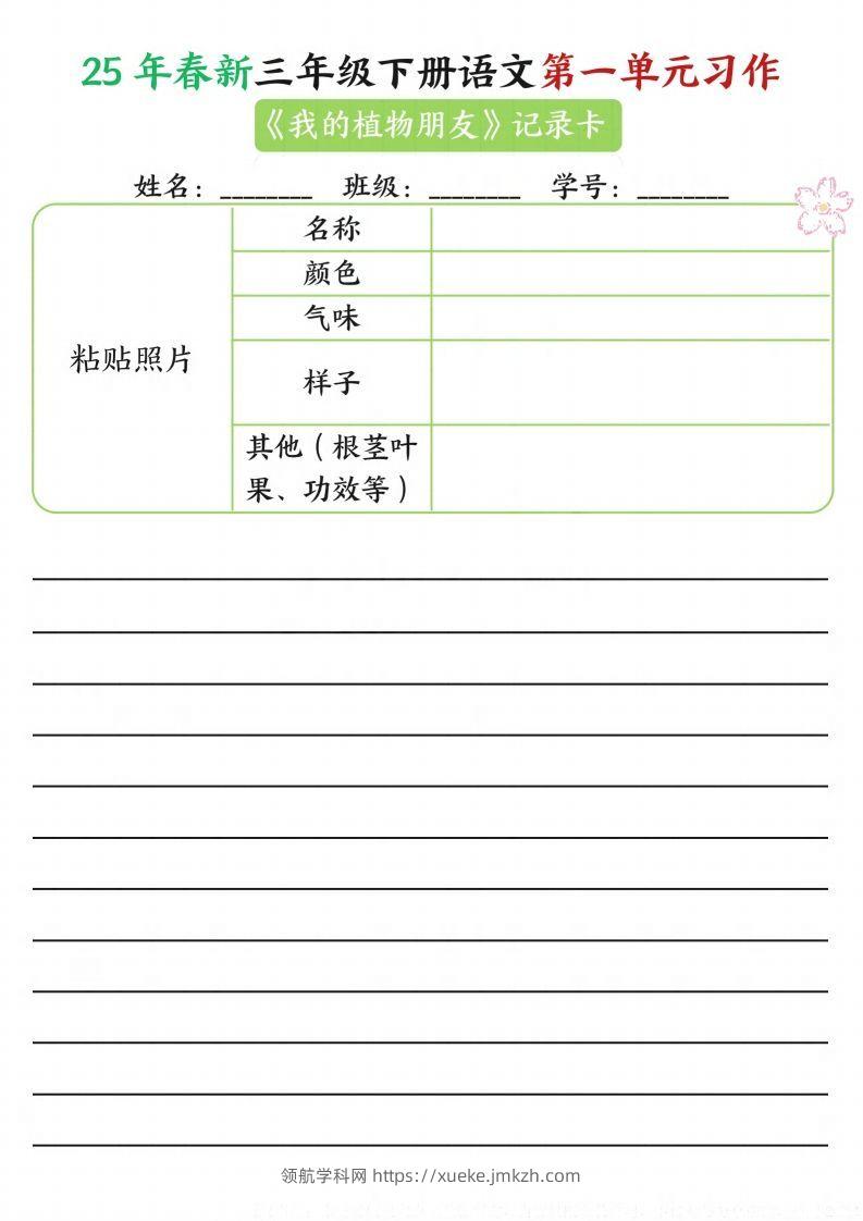 图片[2]-【习作】25年春新三下语文第一单元习作（观察单）16页-领航学科网