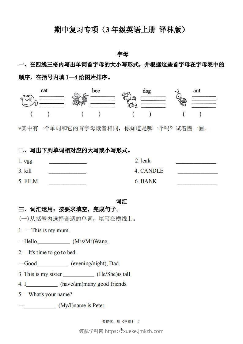期中复习专项（三上英语译林版）-领航学科网