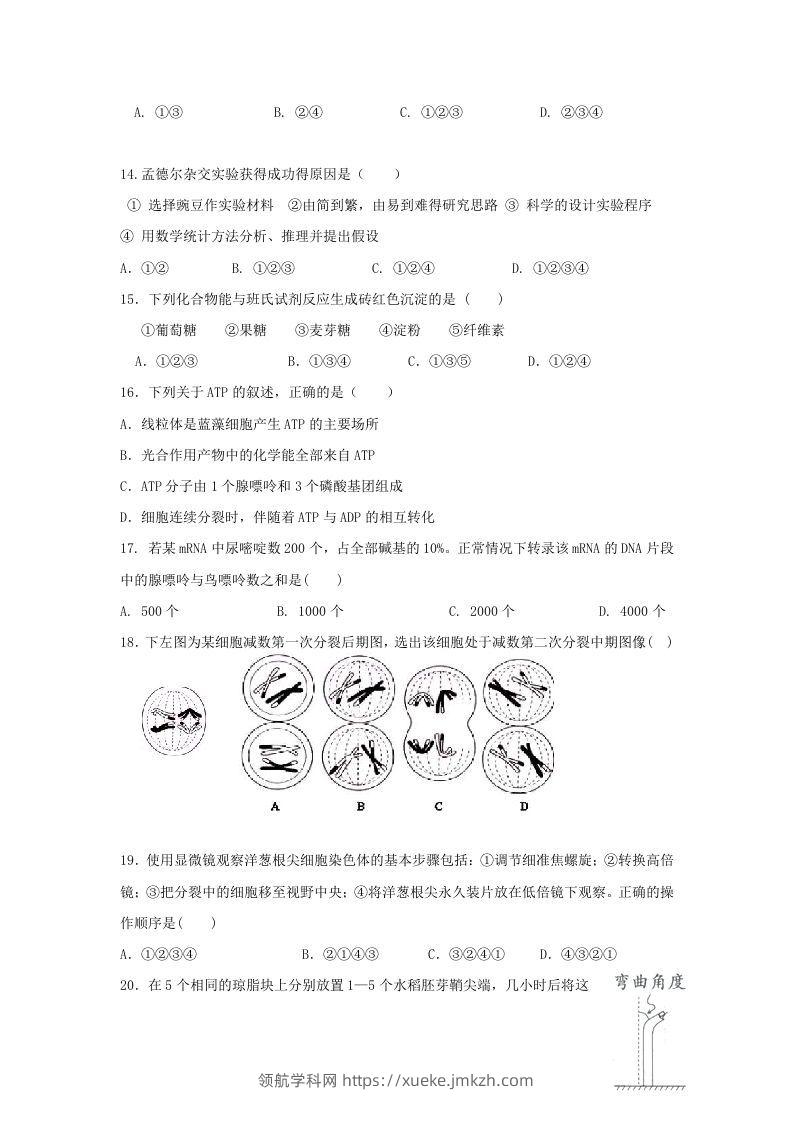 图片[3]-2010年上海高三部分重点中学二次联考生物真题及答案(Word版)-领航学科网