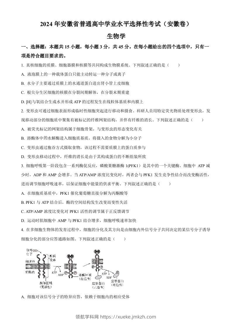 2024年高考生物试卷（安徽）（空白卷）-领航学科网